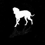 moé store logo